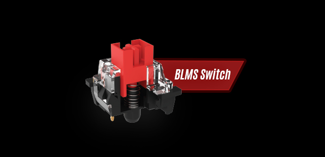 blms switch